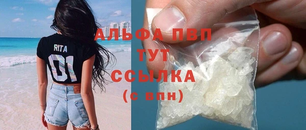 бошки Дмитров