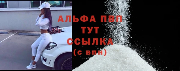 бошки Дмитров