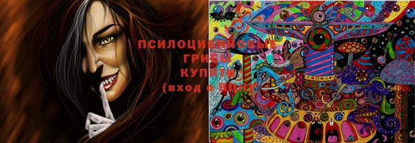 прущая мука Гусь-Хрустальный