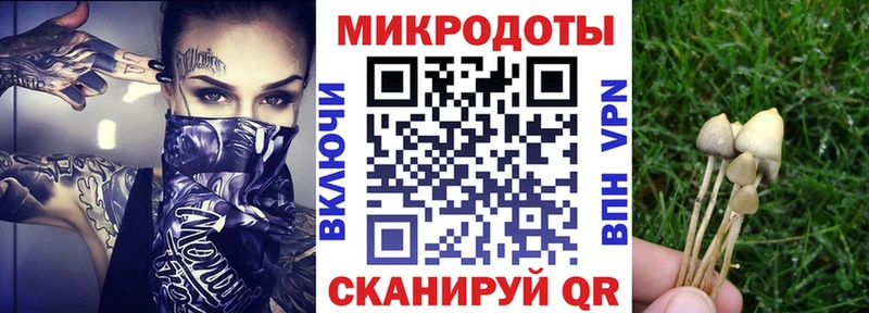 Купить  Обь  Псилоцибиновые грибы ЛСД 