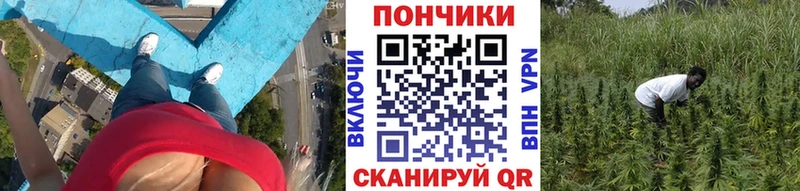 Купить где  Обь  Марихуана THC 21% 